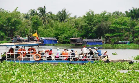 Cá sấu xuất hiện trên sông Sài Gòn